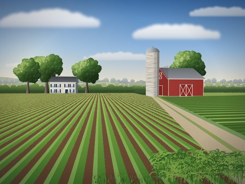 Rolling farmland with rows of crops leading to a red barn, a silo and a white farmhouse under a wide summer sky